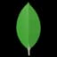 MongoDB database logo